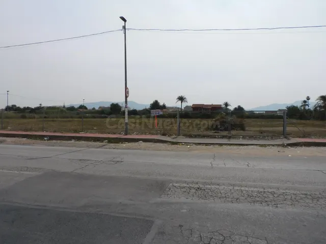 VENTA PARCELA DE HUERTA DE 8.323 M2 EN CRTA. ALICANTE - foto 4