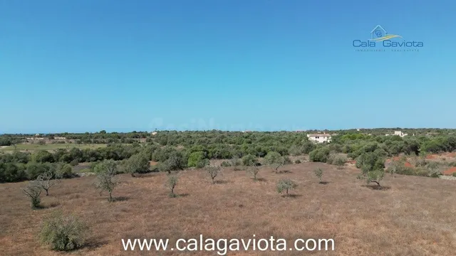 Terreno de 17.000 m2 con bonitas vistas - foto 3