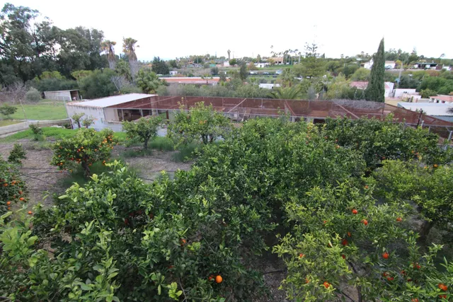 VILLA EN PIEGALLINA CON NAVE Y ALMACENES — 34