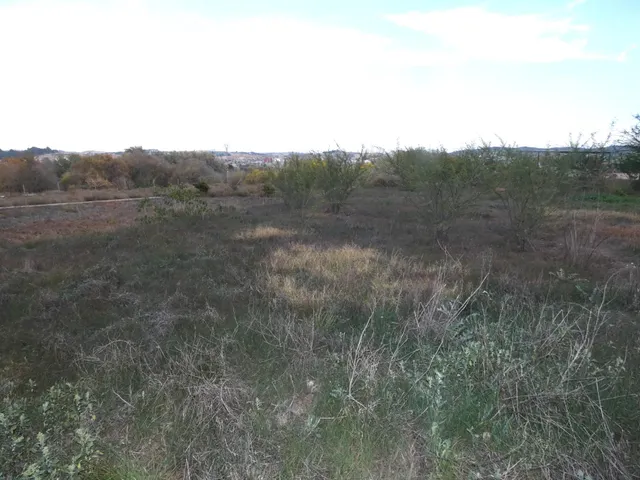+NO ES SOLO UN TERRENO. ES UN CAMBIO DE VIDA. EN LA LOMA TORRES DE COTILLAS+ — 4