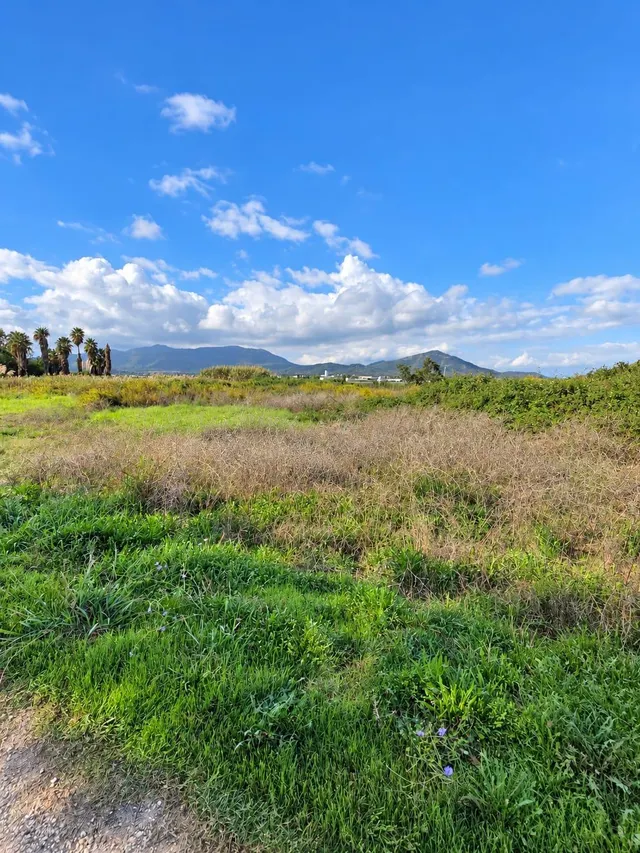 Finca rústica de 6.705 m2 en la zona de els ullals de baltasar, Amposta — 23