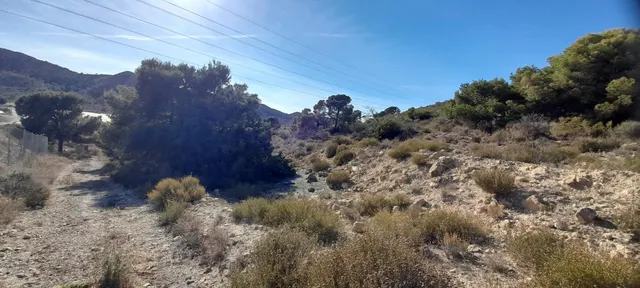 PARCELA 30.000 METROS DE TERRENO — 5