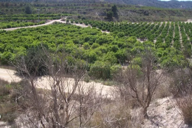 Terreno rural en venta en Orihuela Terreno rural arneva - foto 3