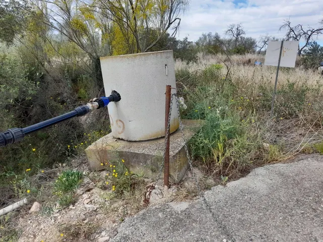 OPORTUNIDAD FINCA RUSTICA DE REGADIO CON CASA DE CAMPO EQUIPADA EN ASCO — 31