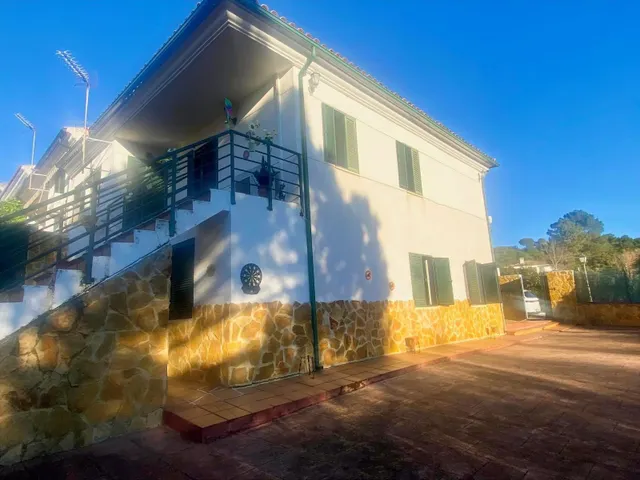 Las jaras — 16