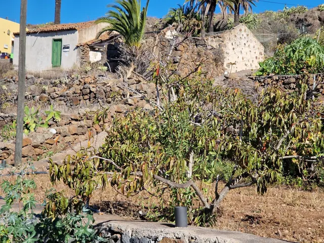 Bienvenido a la oportunidad de adquirir tu propio pedazo de  - foto 3