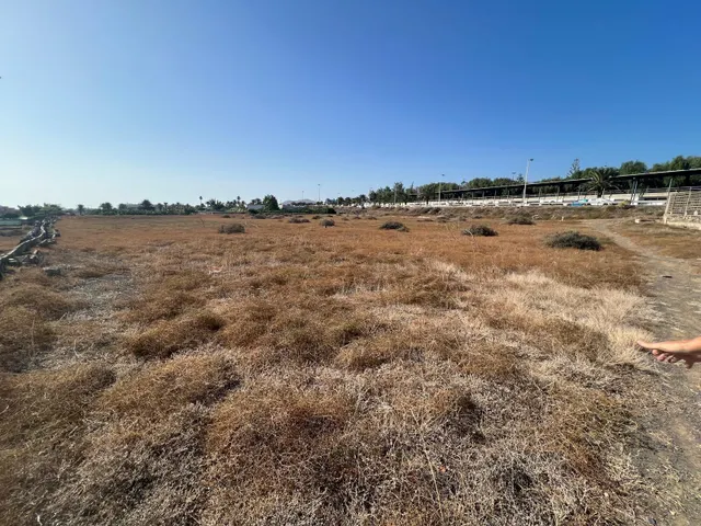 Parcela en la zona de San Juan, Telde. — 2