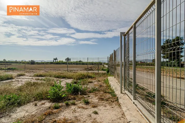 ¡Tu rincón perfecto a solo 300 metros de Santomera! ✨Parcela - foto 2