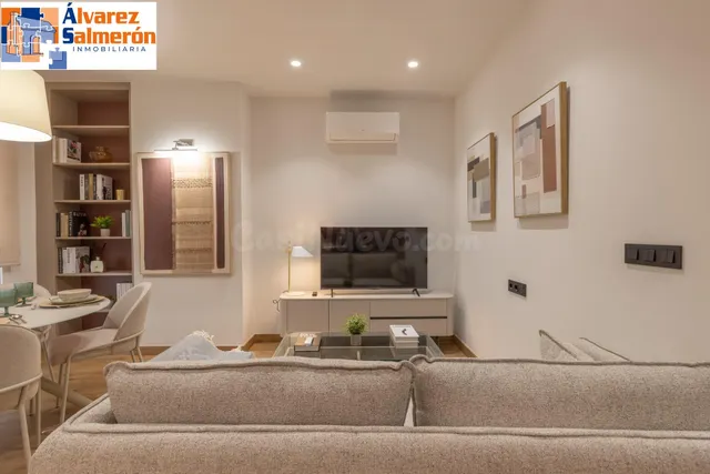 MODERNO ESTUDIO TIPO LOFT AMUEBLADO EN URBANIZACIÓN VILLA PINEDA - ZONA VILLAREJO — 4
