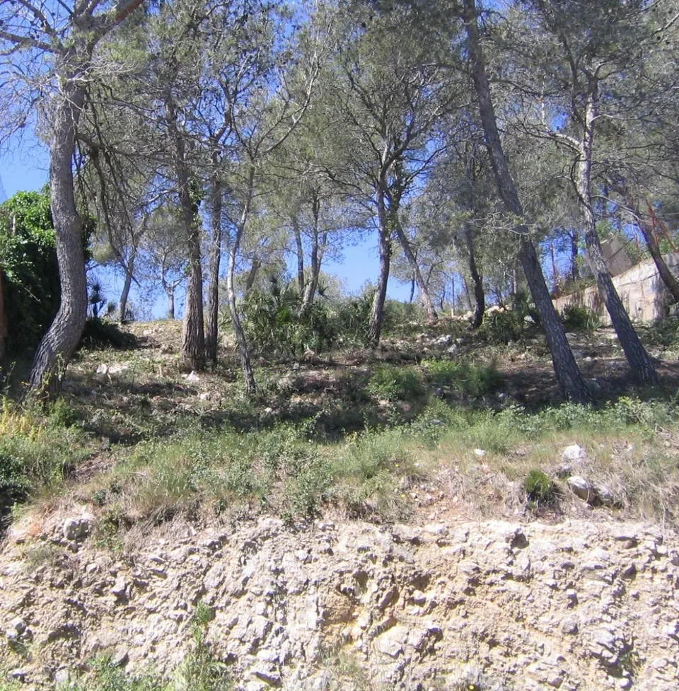 Terreno en urbanización Las Palmeras
