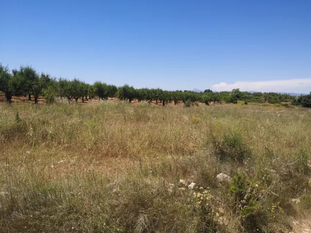 FINCA RUSTICA SECANO — 10