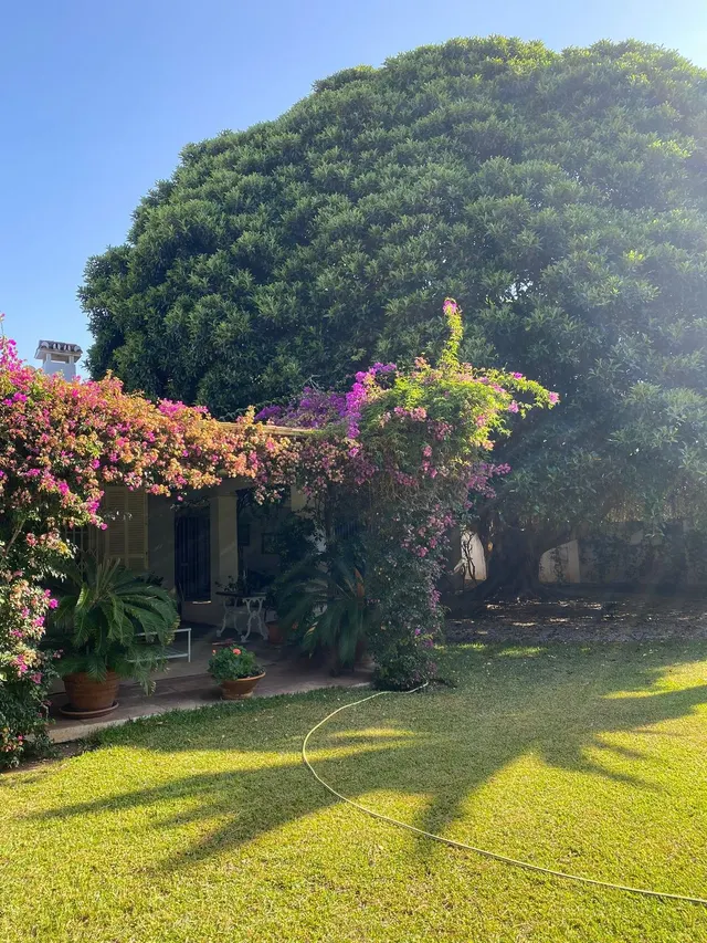 Chalet 4 habitaciones 449m² en venta - Whater Gardens — 8