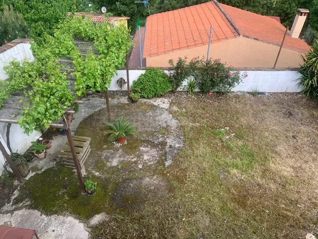 En el  Valle del Jerte a 18 km de Plasencia — 3