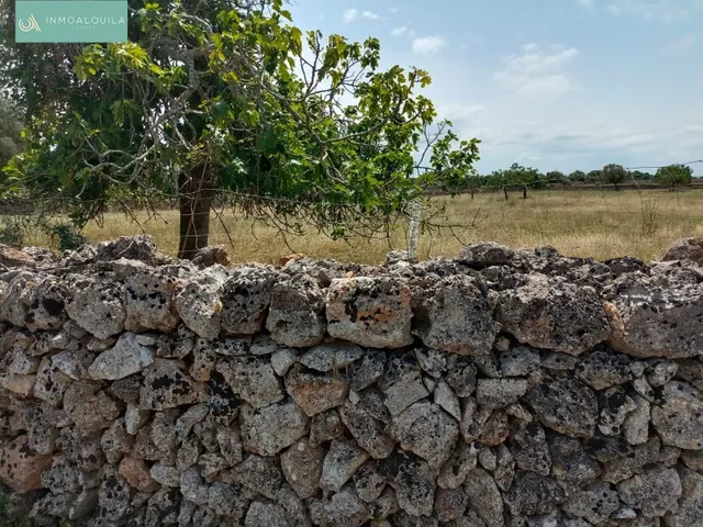 Finca edificable con proyecto — 7