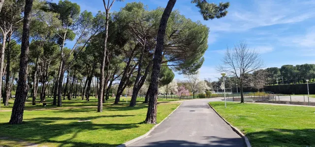 Magnifico piso para reformar en la exclusiva urbanización de La Rinconada — 48