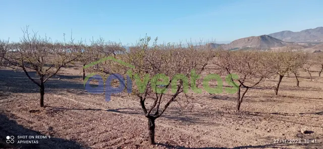 Terreno-parcela en Purias — 7