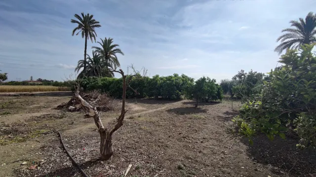 SE VENDE CASA DE CAMPO CON 42.000 M2 DE PARCELA. — 5