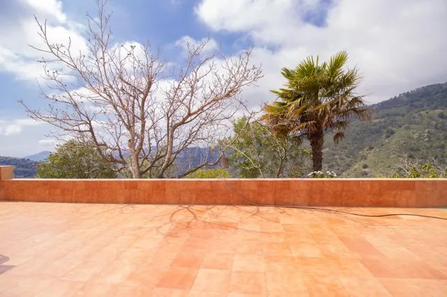 Finca agrícola de 5 hectáreas con alta rentabilidad y produc - foto 4