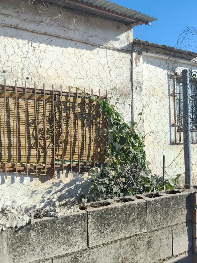 Oportunidad de Inversión Parcela en Crta. Aeropuerto por 45. - foto 5