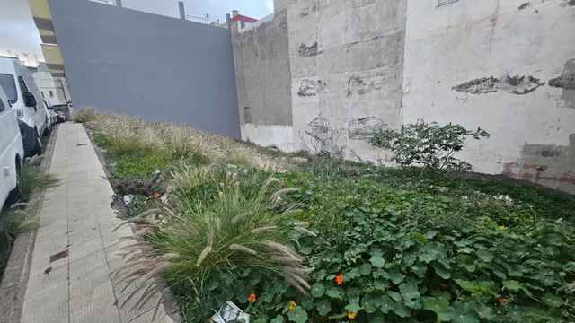 Terreno urbano en Santa Cruz de Tenerife – Proyecto plurifam - foto 3