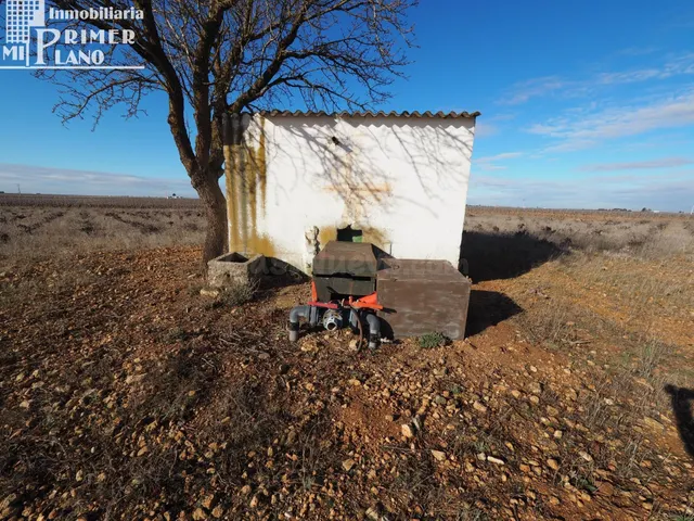 Se venden 10,4 de hectareas de tierra blanca en el termino d - foto 3