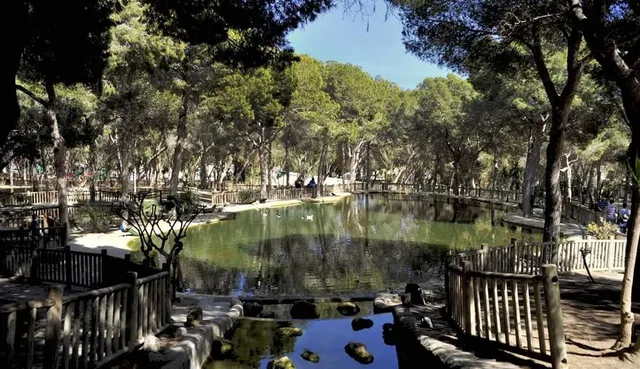 Alquiler de larga estancia en primera línea lateral de playa — 28