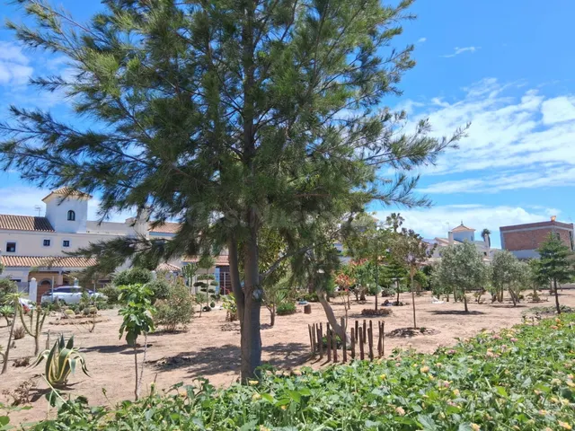 PARCELA URBANA ZONA JARA