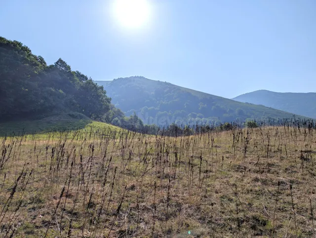 Espectacular finca rustica con cuadra tradiccional — 18