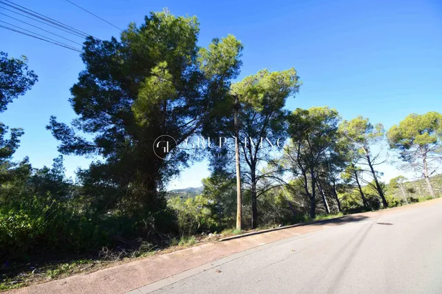TERRENO CON VISTAS EN CALLE PRINEUS, MAS MESTRE — 2