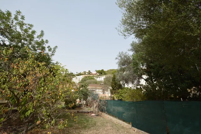 EN VENTA TERRENO URBANO EN GÉNOVA MALLORCA — 3
