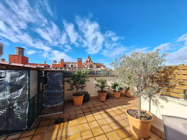 Atico centrico  en planta con terraza en duplex, trastero y piscina — 11