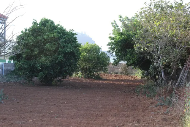 SOLAR URBANO CON FINCA RUSTICA — 3