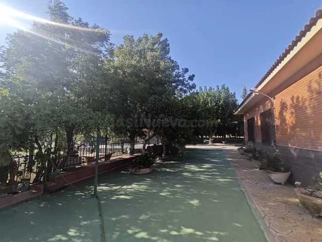 Campo en Sax 14.000 m2 parcela y casa con piscina — 38