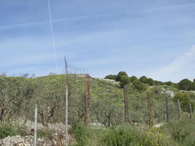 Venta de Suelo no urbanizable (Agrícola invernado/inervable) en Motril - Granada — 3