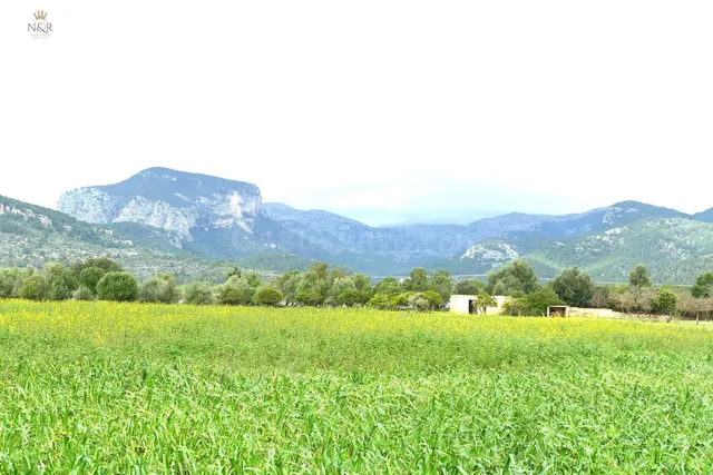 FINCA RÚSTICA DE 22.950 M2 CON DIVERSAS EDIFICACIONES A REFO - foto 5