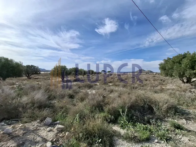 TERRENO RUSTICO A LA VENTA EN AGOST - foto 3
