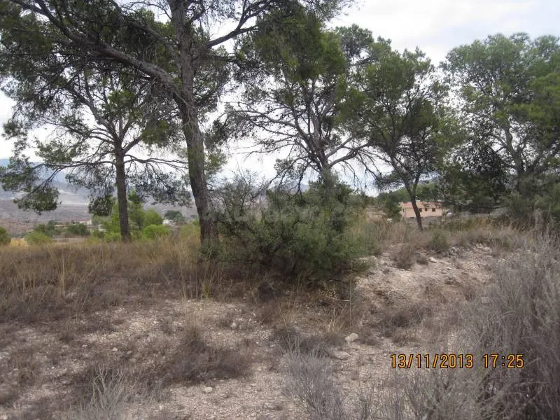 36500 METROS DE TERRENO EL LA SERRA LA VELLA
