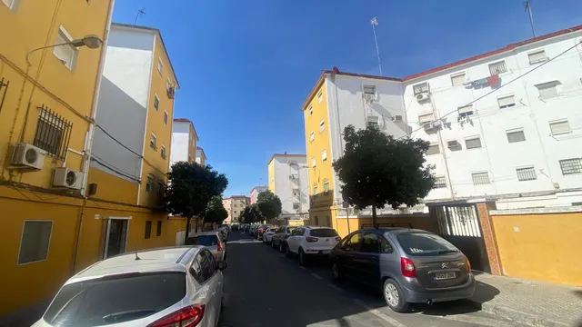 PISO EN LOS PAJARITOS — 16