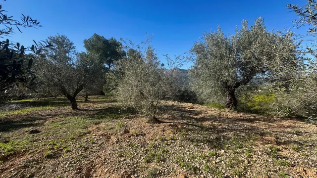 Exclusiva Parcela Rústica en Orba con Vistas al Mar para con - foto 4