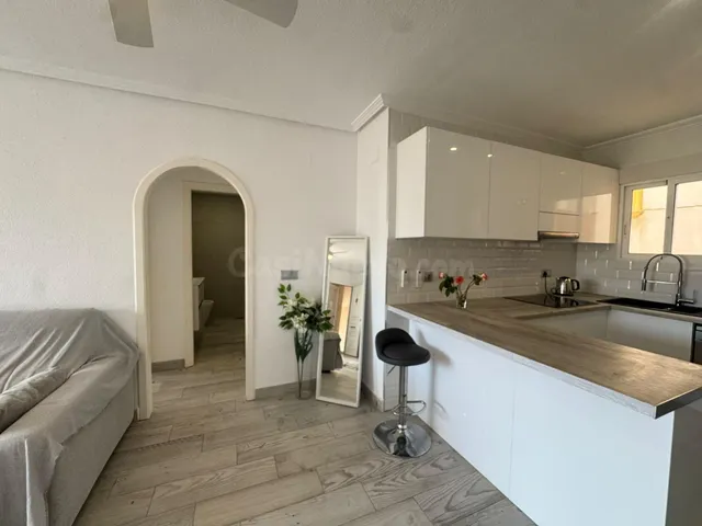 APARTAMENTO REFORMADO EN PINADA GOLF — 3