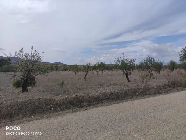 TERRENO AGRICOLA DE REGADÍO EN AGUADERAS, LORCA