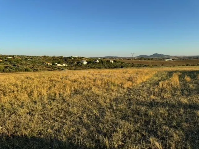 CASABANCO VENDE FINCA RÚSTICA EN CAMINO VALLE DE LA HIGUERA  - foto 4
