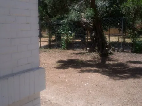 CHALET INDEPENDIENTE — 9