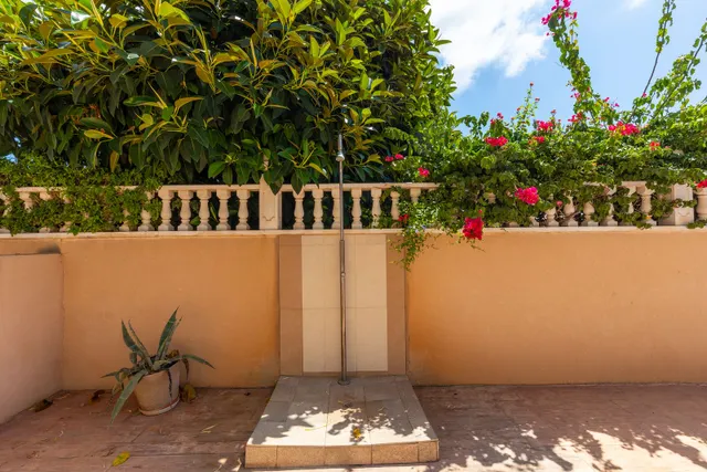 Apartamento 1 habitación 44m² en venta - Punta Prima — 21