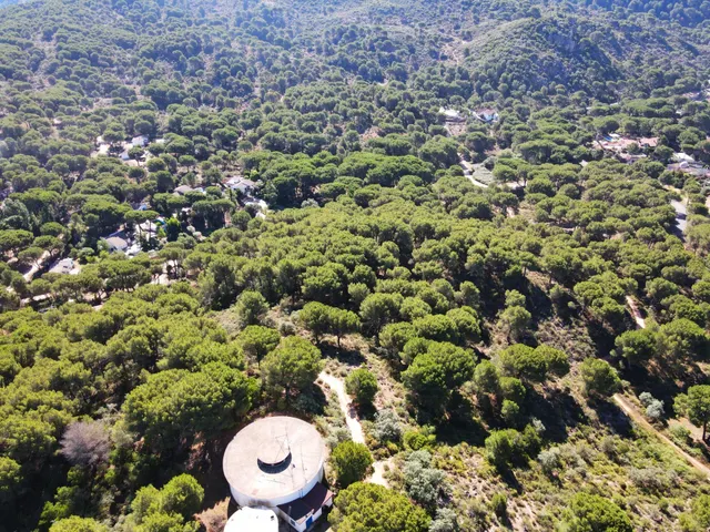 ¡¡PARCELA URBANA EN LAS JARAS!!! — 12