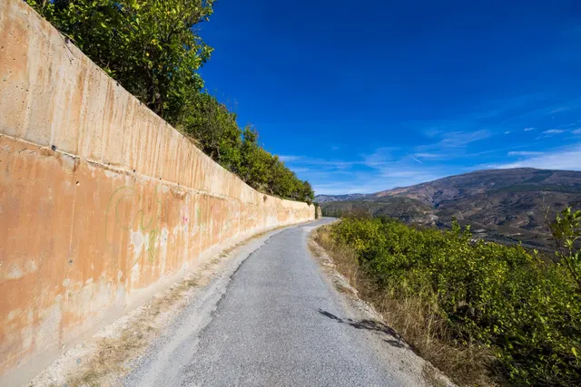 ¡Oportunidad única! Dos Fincas rústicas de mas de 15.000 m2 en total en Pinos del Valle. VENTA JUNTAS O SEPARADAS — 47