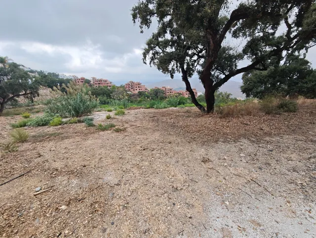 !Atención inversores¡ solar en la Mairena de 15.700m2 para c - foto 5