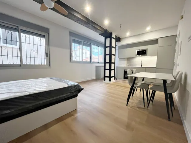 LOFT CON REFORMA A ESTRENAR PARA CORTA Y MEDIA ESTANCIA — 24
