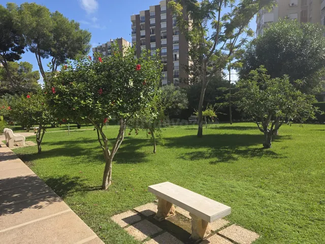 Bonito Apartamento en Campoamor - foto 3