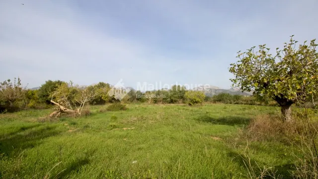 Finca rústica 1 habitación 68m² en venta - Campanet-Buger - foto 3